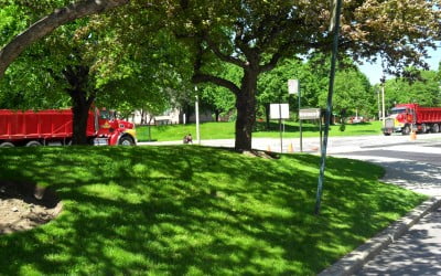 Dealing with and Preventing Mold on Concrete