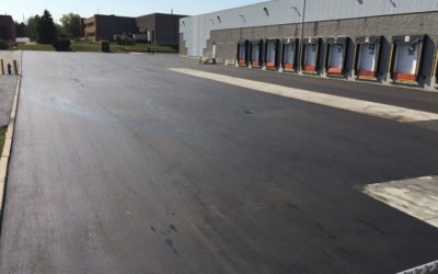 Asphalt Paving Services: How Often You Need Them and Why