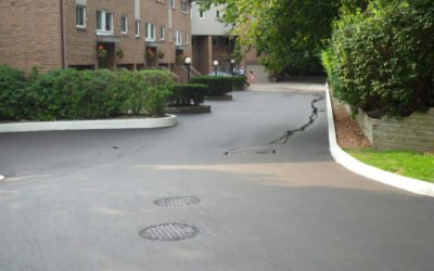 Causes and consequences of Asphalt damage