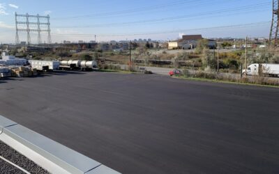 Driveway Design Ideas to Boost Curb Appeal